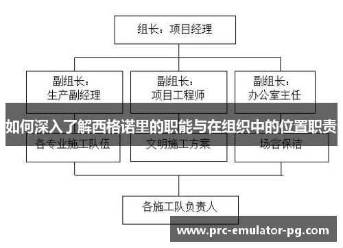 如何深入了解西格诺里的职能与在组织中的位置职责