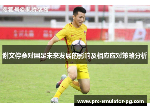 谢文停赛对国足未来发展的影响及相应应对策略分析 谢文停赛对国足未来发展的影响及相应应对策略分析