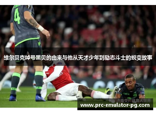 维尔贝克绰号黑贝的由来与他从天才少年到励志斗士的蜕变故事