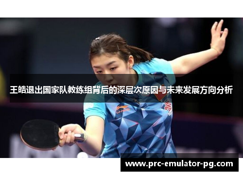 王皓退出国家队教练组背后的深层次原因与未来发展方向分析