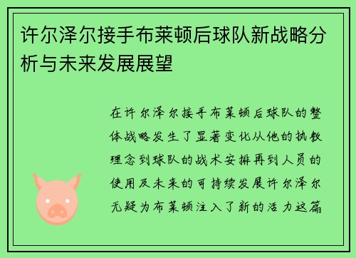 许尔泽尔接手布莱顿后球队新战略分析与未来发展展望