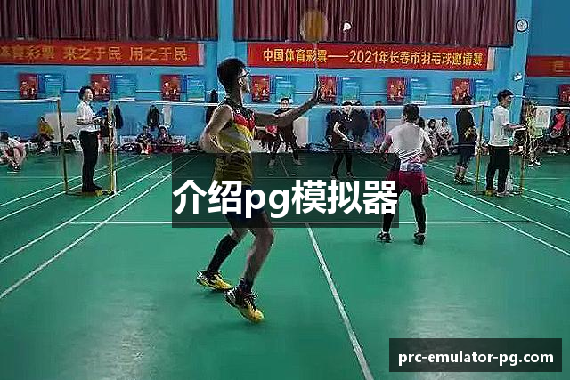 介绍pg模拟器